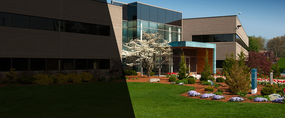 North Myrtle Beach Landscapers