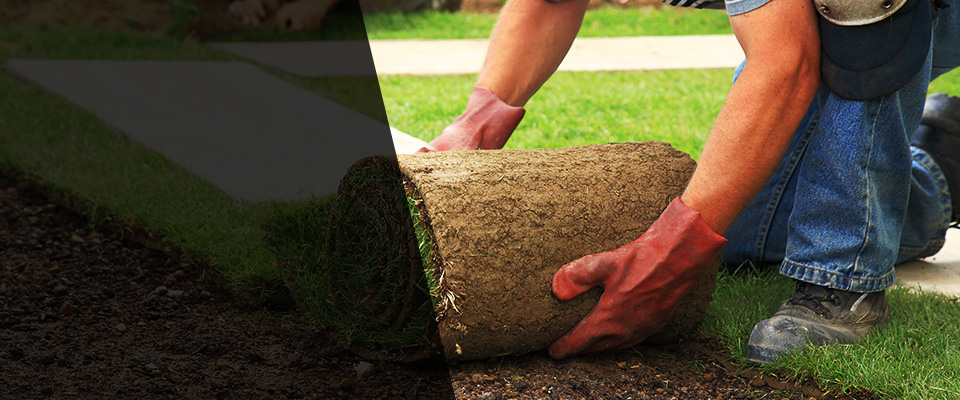 North Myrtle Beach Landscapers